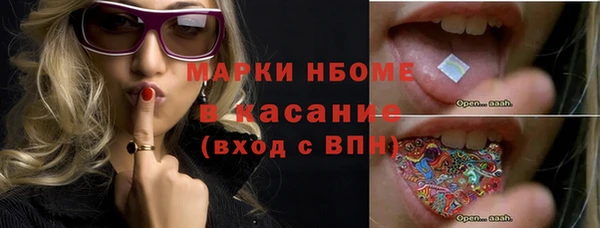 индика Абинск