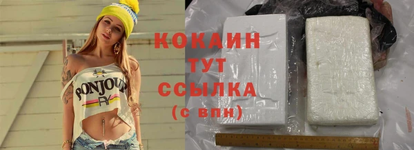 дмт Мегион