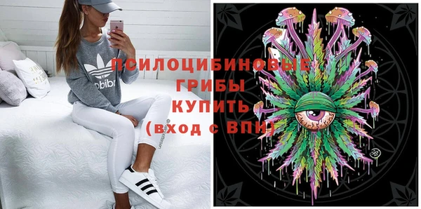 индика Абинск