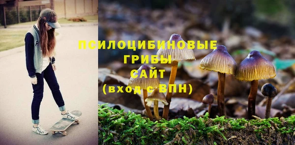 индика Абинск