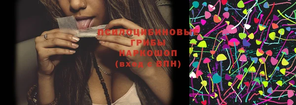 индика Абинск